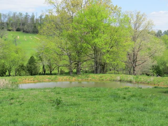 4607 Prospect Road Prospect, TN 38477 - Photo 18 of 28