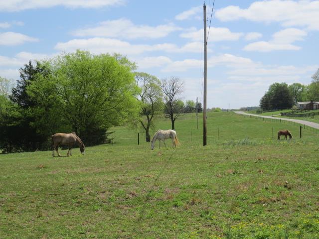4607 Prospect Road Prospect, TN 38477 - Photo 20 of 28