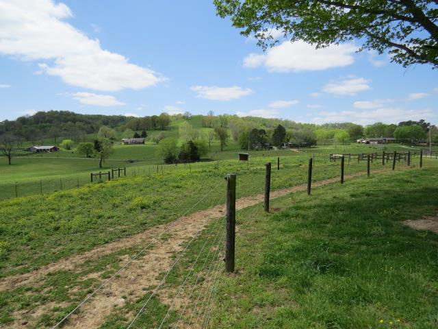 4607 Prospect Road Prospect, TN 38477 - Photo 23 of 28