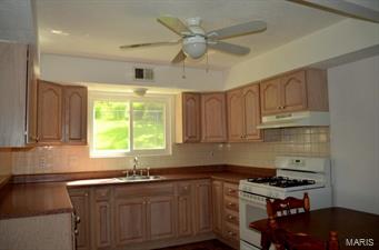 1616 Creve Coeur Mill Road St. Louis, MO 63146 - Photo 12 of 25