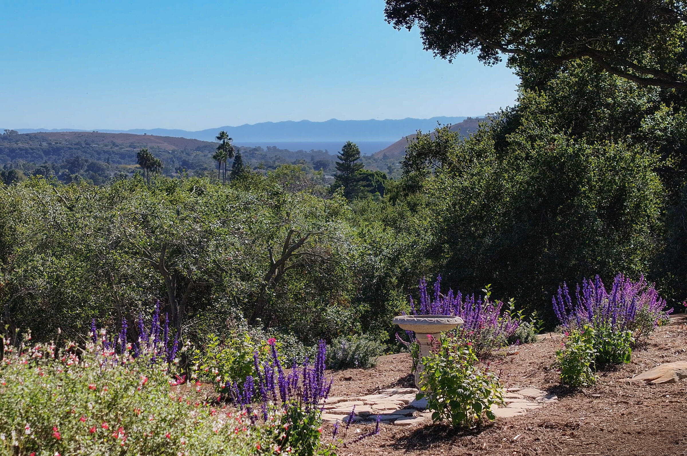 42 Northridge Road Santa Barbara, CA 93105 - Photo 22 of 22 a view of a garden