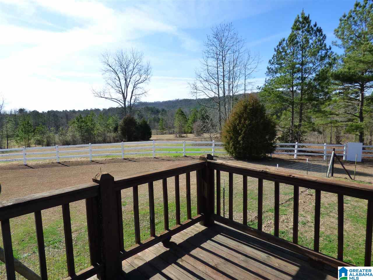1430 Dripping Rock Road Piedmont, AL 36272 - Photo 41 of 41