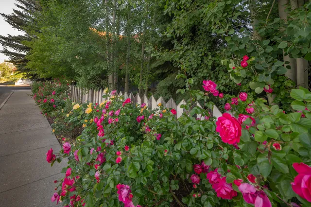 $6,800,000 | 111-131 North East Avenue, Ketchum, ID 83340