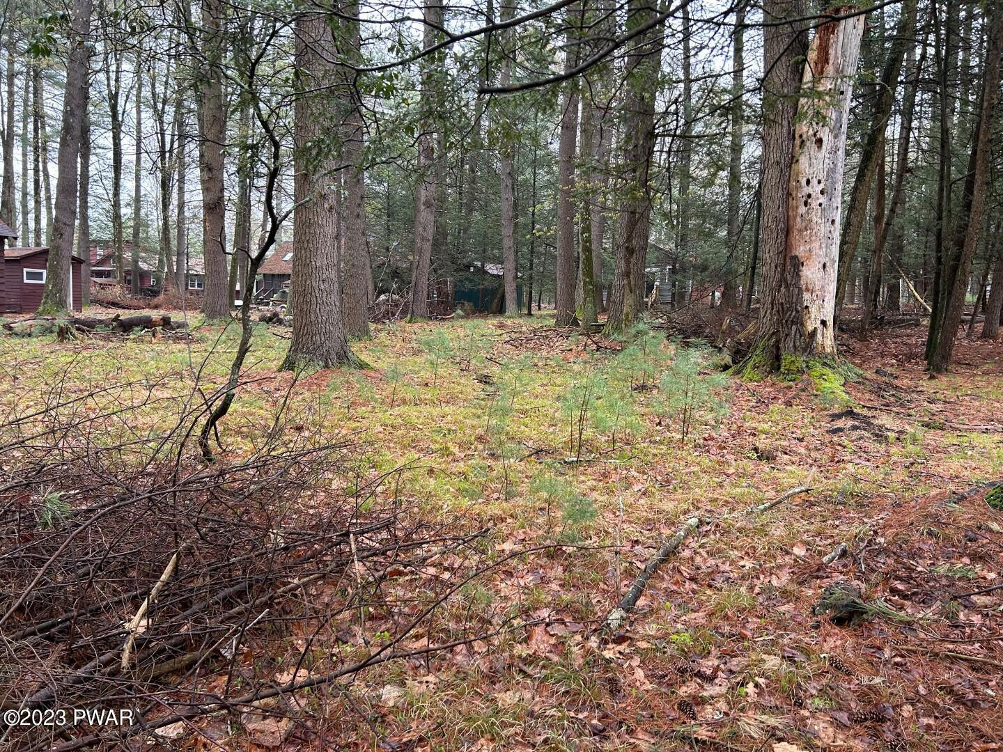 Lot 211 Cottage Road Tafton, PA 18464 - Photo 6 of 12