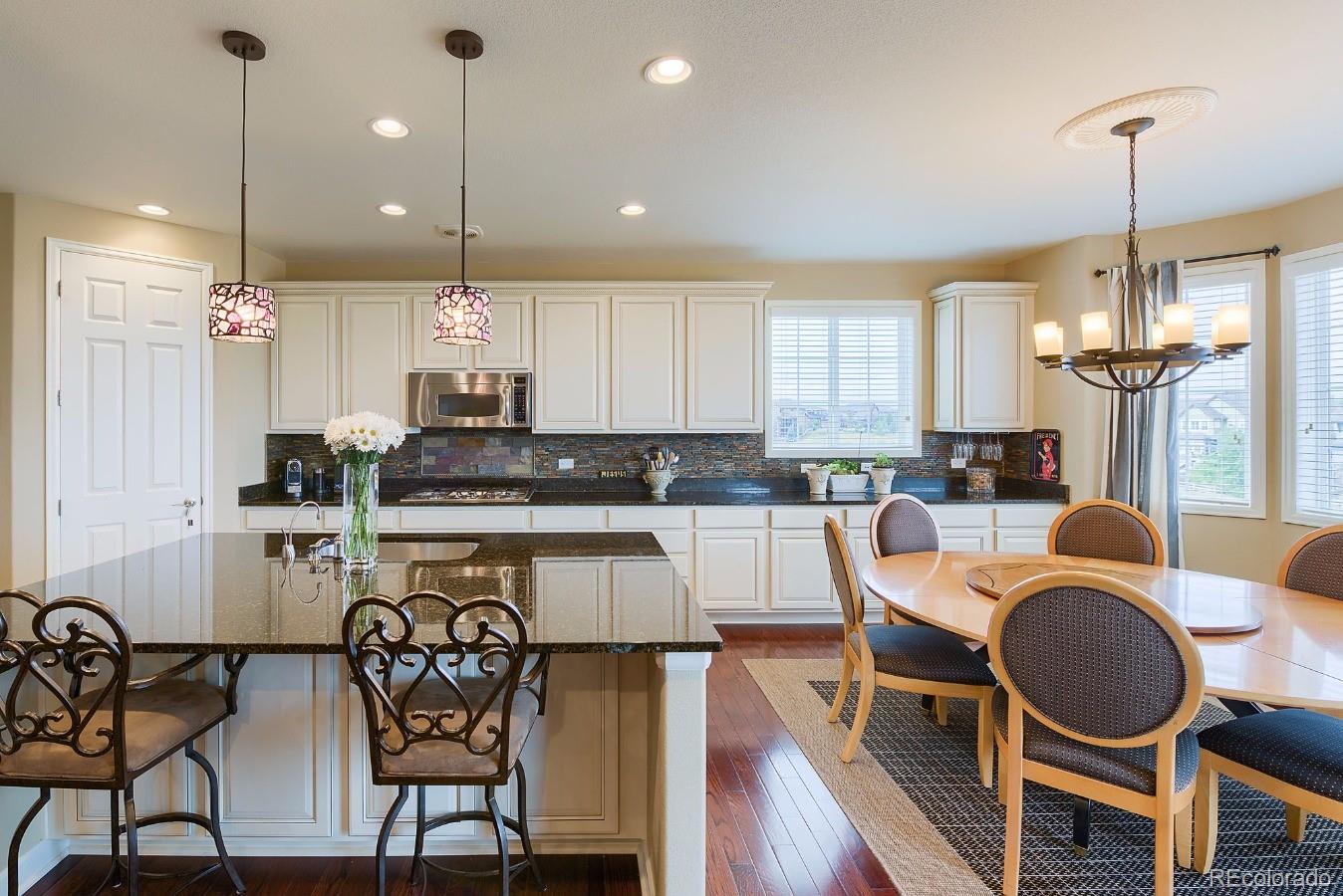 10517 Skyreach Road Highlands Ranch, CO 80126 - Photo 8 of 35 Gallery Image 8