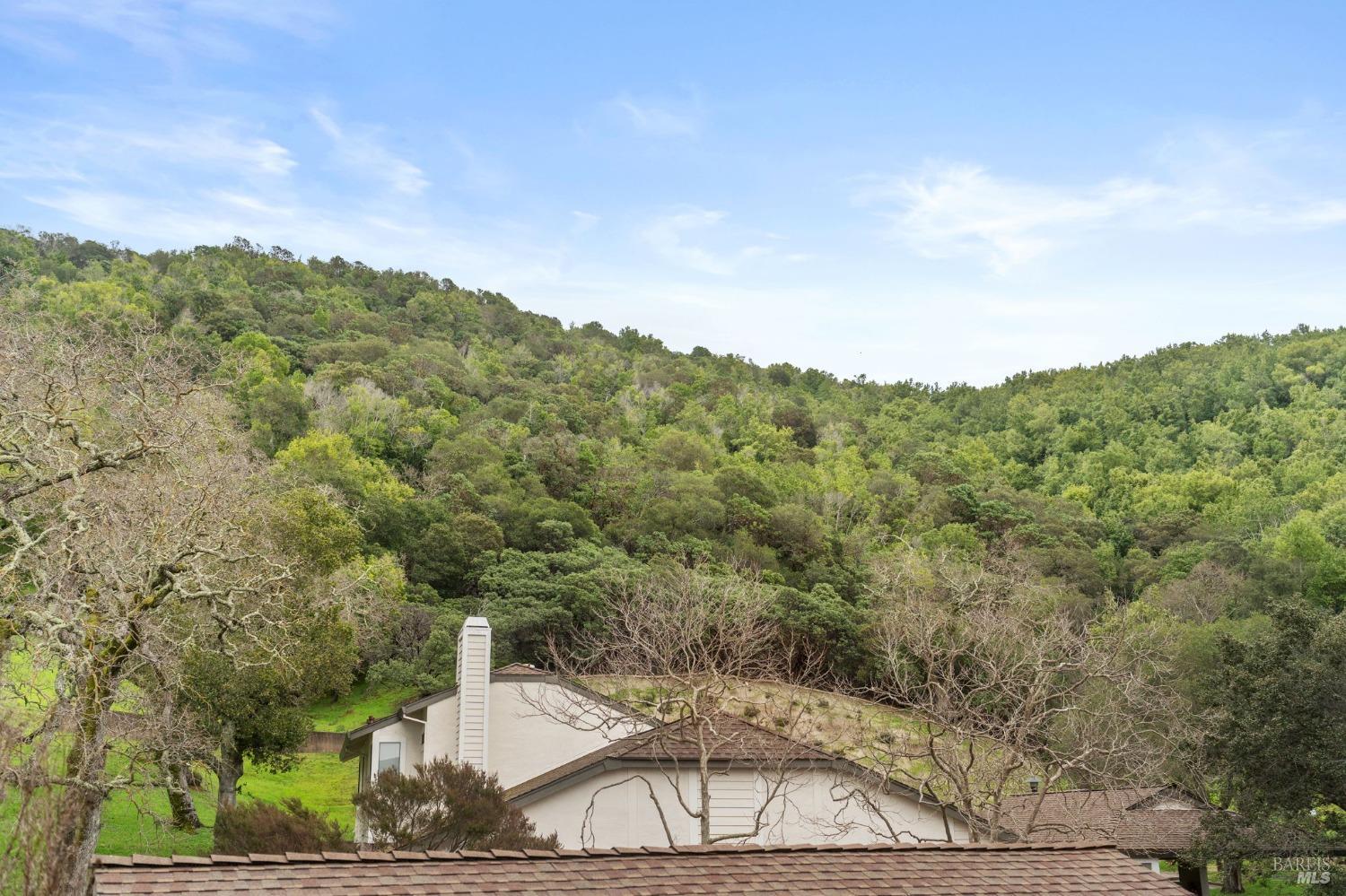 64 Village Circle San Rafael, CA 94903 - Photo 53 of 62