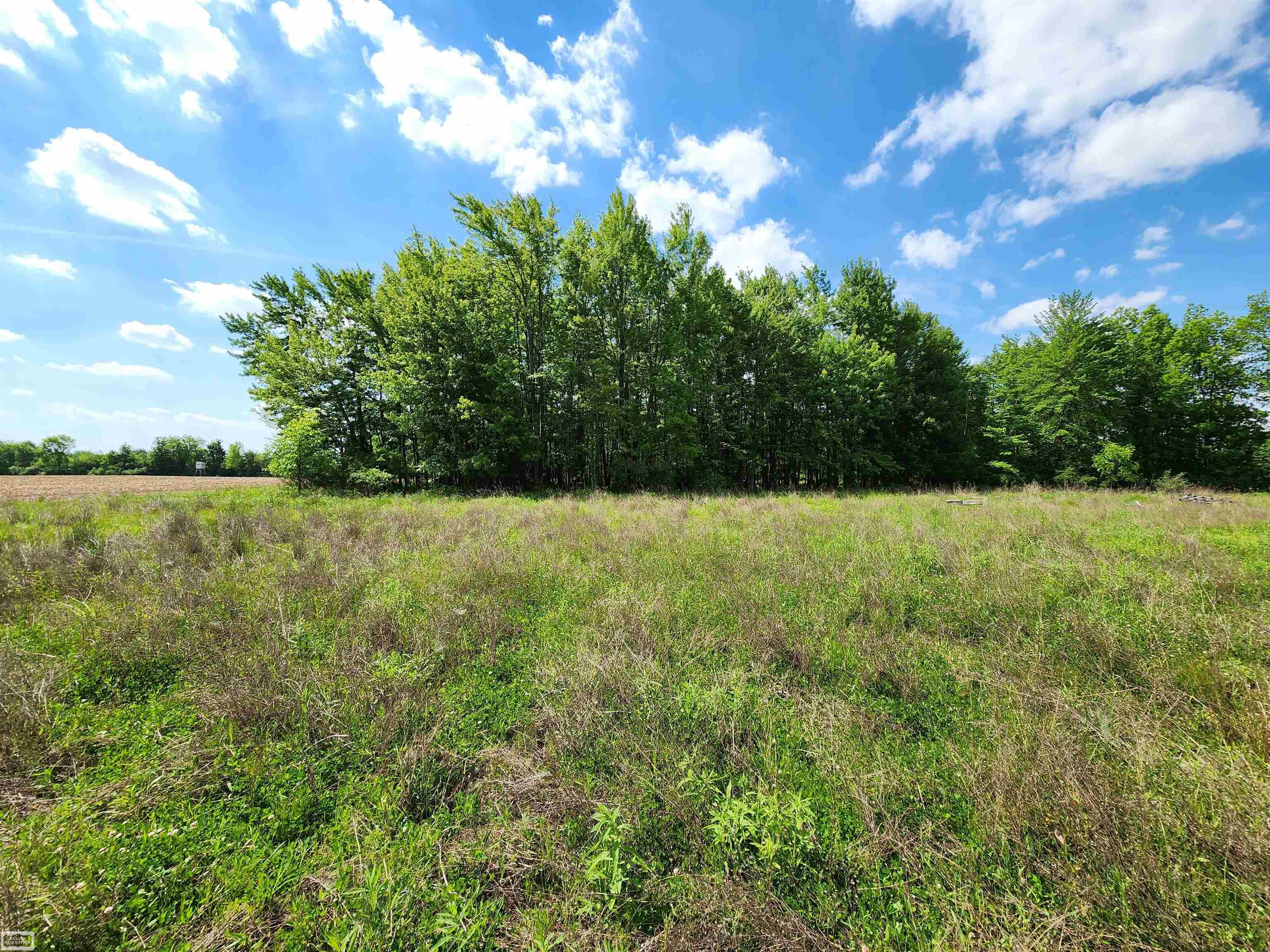 0 Brennan Road Avoca, MI 48006 - Photo 20 of 38
