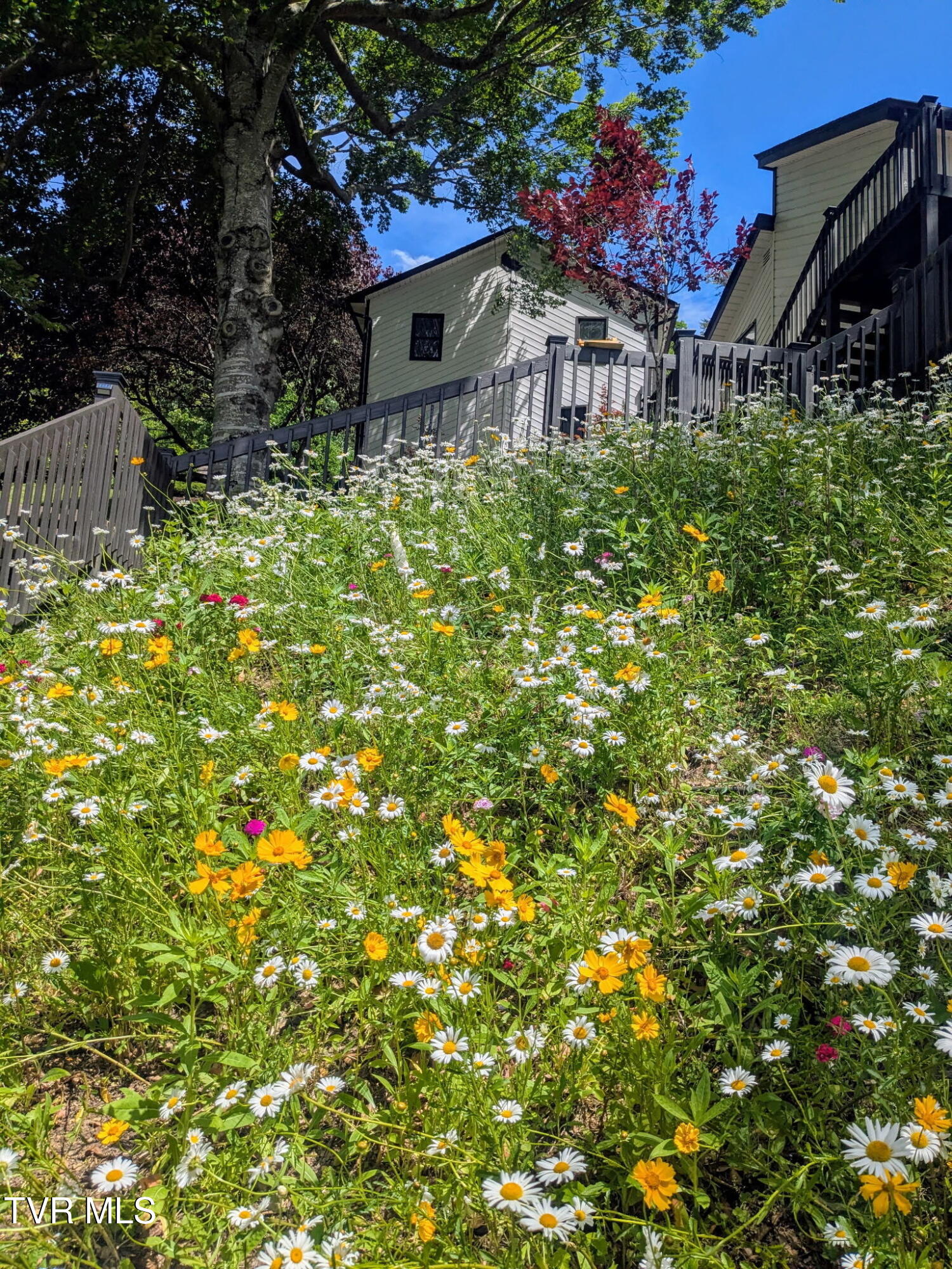 487 Lakeshore Road Bluff City, TN 37618 - Photo 75 of 78 4e881a1f-c228-45d3-b75e-365e52222d90-1_a