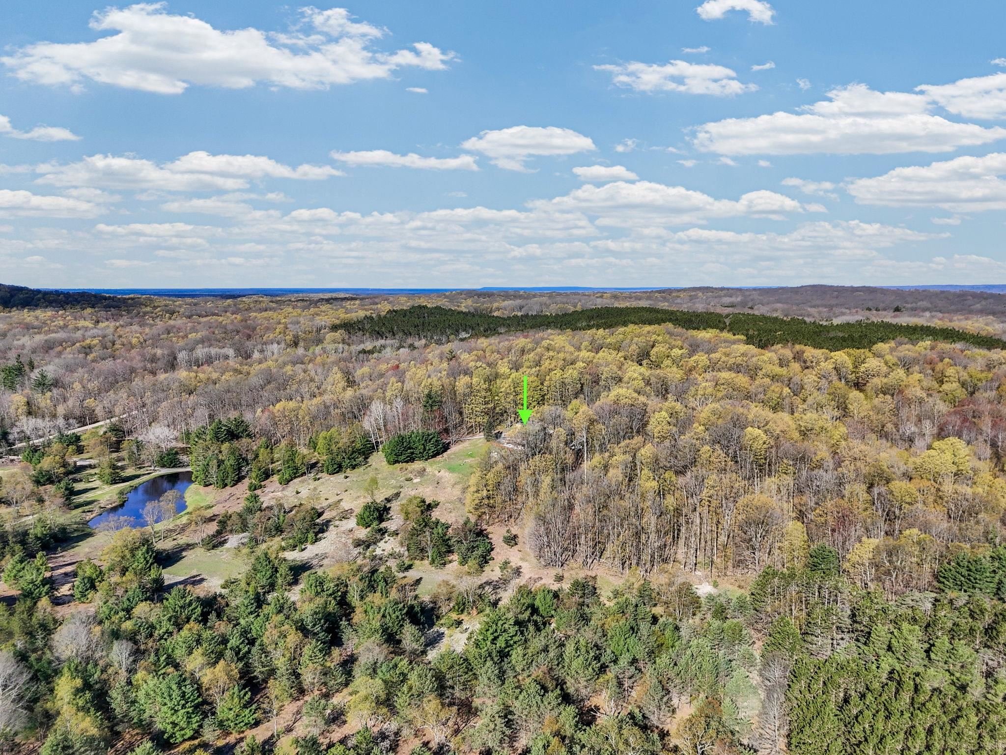 8356 West 38th Road Cadillac, MI 49601 - Photo 71 of 75