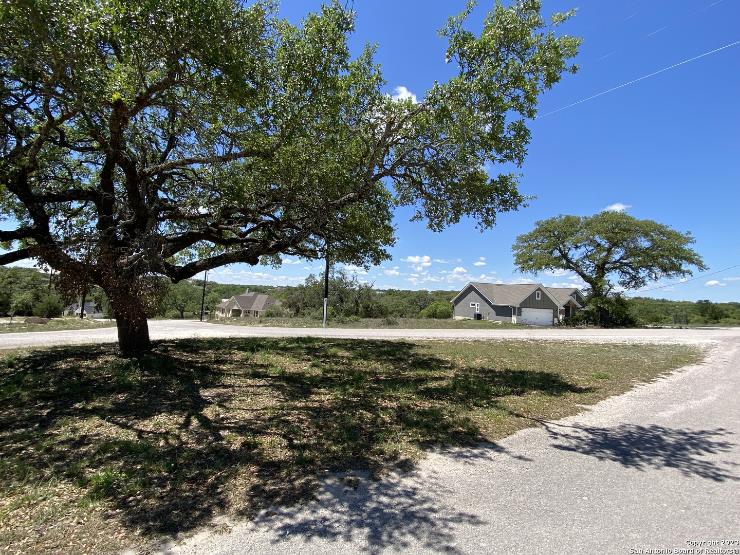 136 George Dolson Blanco, TX 78606 - Photo 5 of 5 a view of a trees in a yard