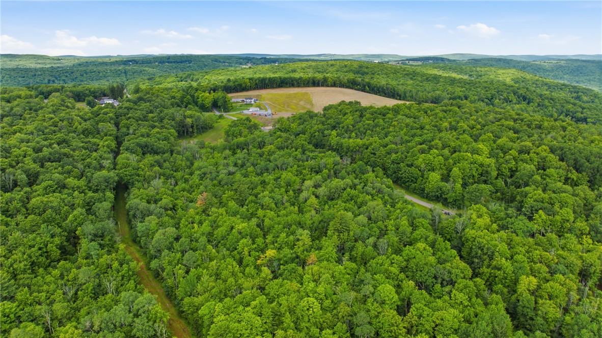 Dunn Road Pine Valley, NY 14872 - Photo 12 of 14