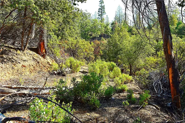 a view of a large yard with lots of green space