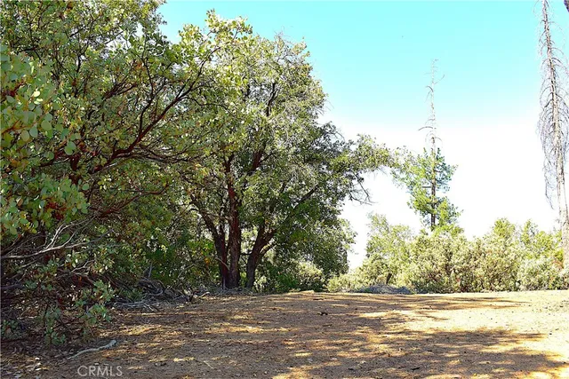 a view of a house with a tree and a yard