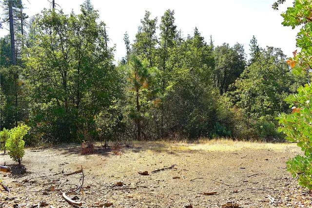 a view of a yard covered in snow