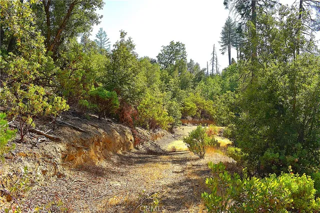 a view of back yard of the house