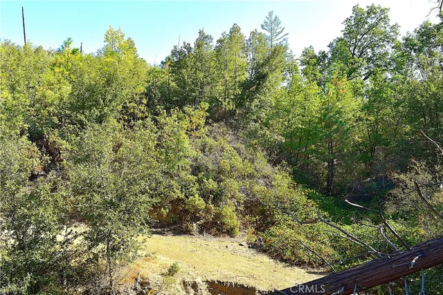 a view of a yard with plants and trees