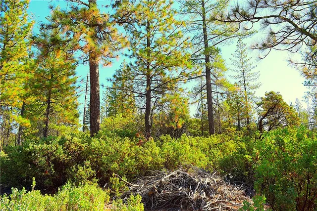 a view of a pathway with a yard