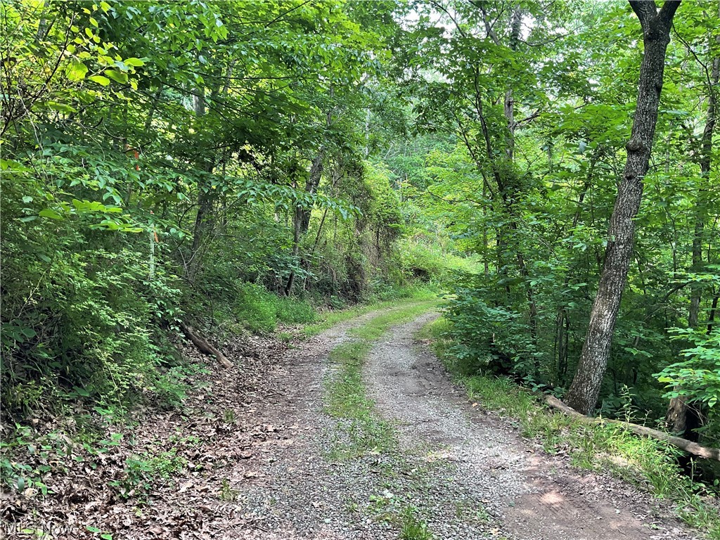 2345 Heldman Road Wingett Run, OH 45789 - Photo 34 of 39