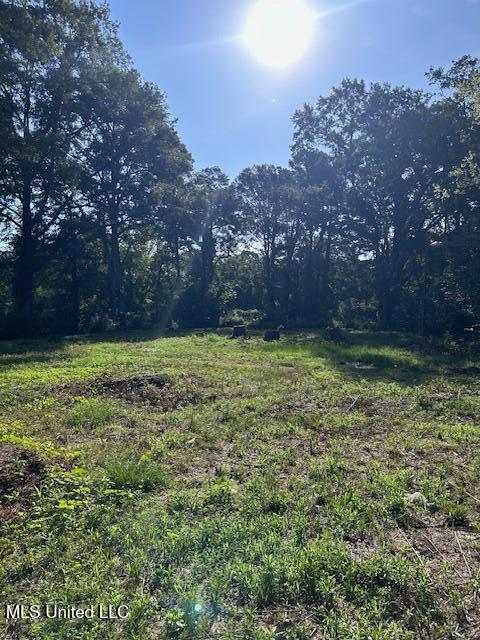 4528 Hanging Moss Road Jackson, MS 39206 - Photo 2 of 2 IMG_1070