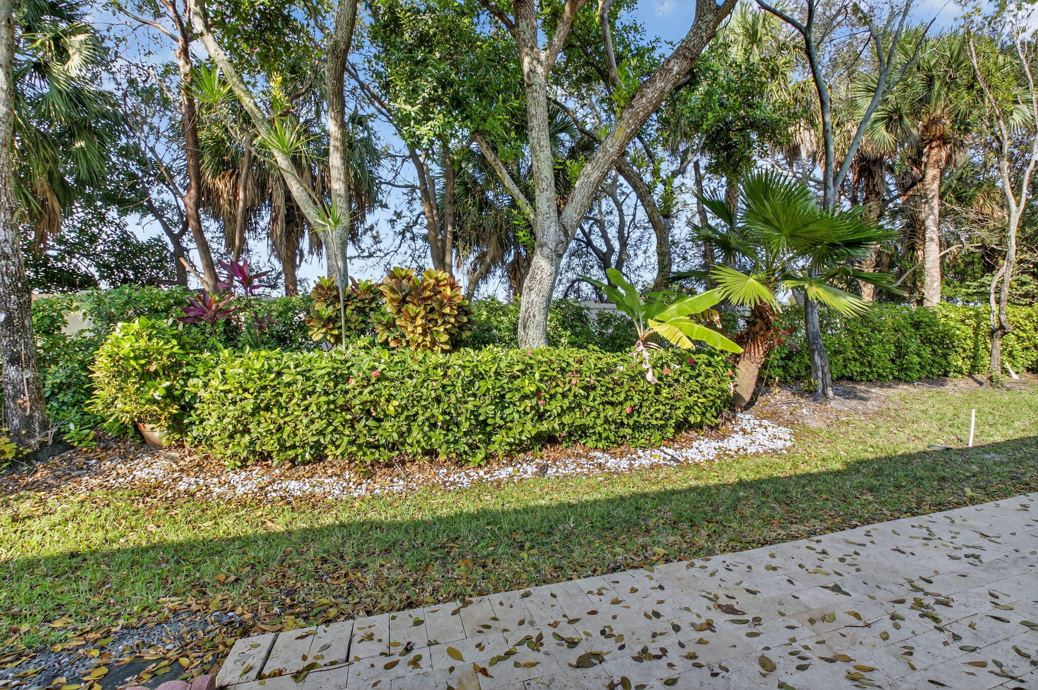 6165 Petunia Road Delray Beach, FL 33484 - Photo 32 of 68 Backyard