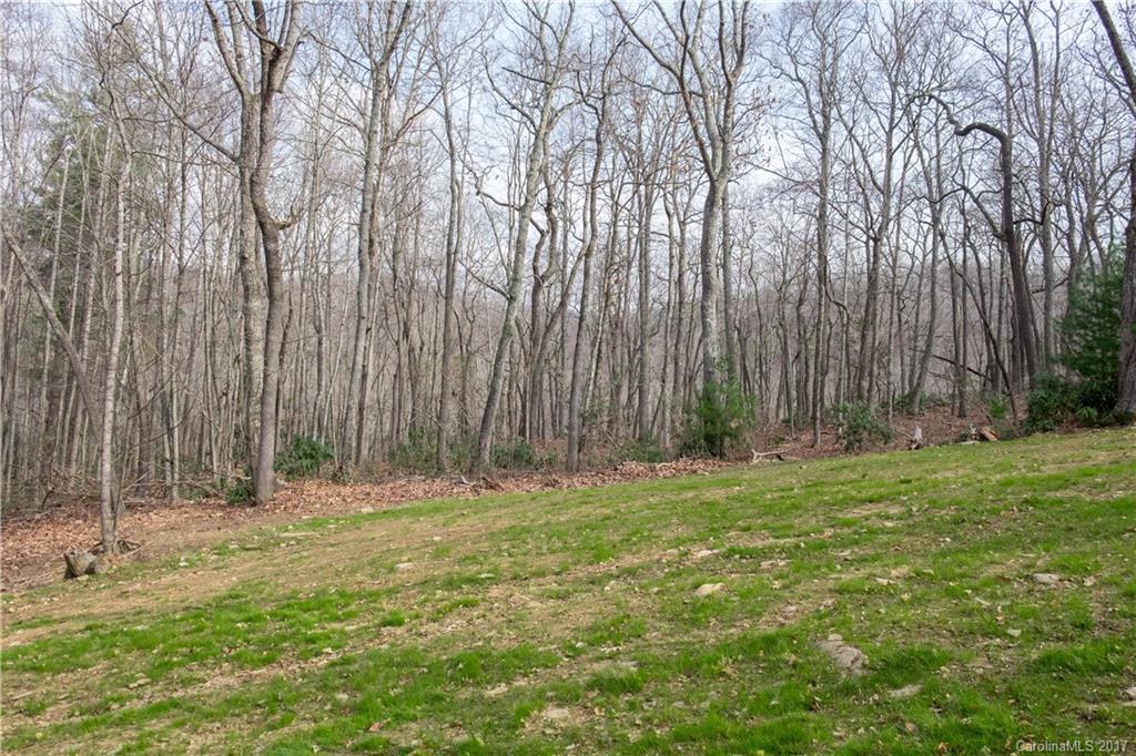 900 Long Branch Road Swannanoa, NC 28778 - Photo 2 of 23 Gallery Image 2