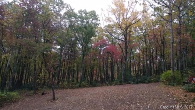 900 Long Branch Road Swannanoa, NC 28778 - Photo 16 of 23 Gallery Image 16
