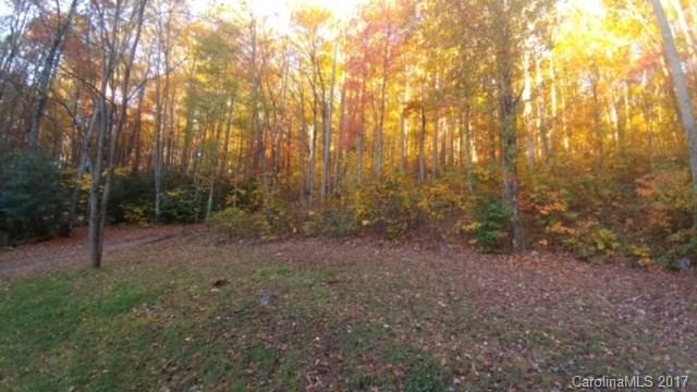 900 Long Branch Road Swannanoa, NC 28778 - Photo 21 of 23 Gallery Image 21