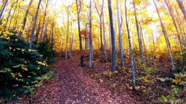 900 Long Branch Road Swannanoa, NC 28778 - Photo 22 of 23 Gallery Image 22