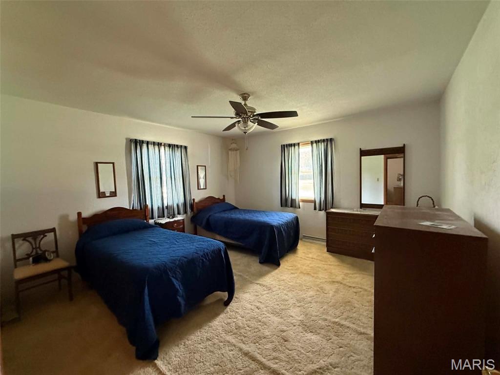 337 East 1st Street Ramsey, IL 62080 - Photo 12 of 17