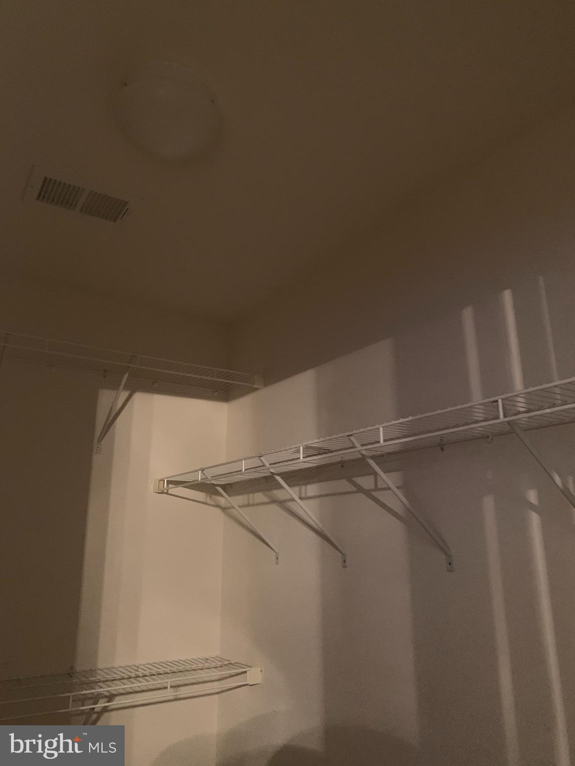 103 Alba Road, Unit 101 Fredericksburg, VA 22405 - Photo 14 of 22 Master Bedroom Walk-in Closet