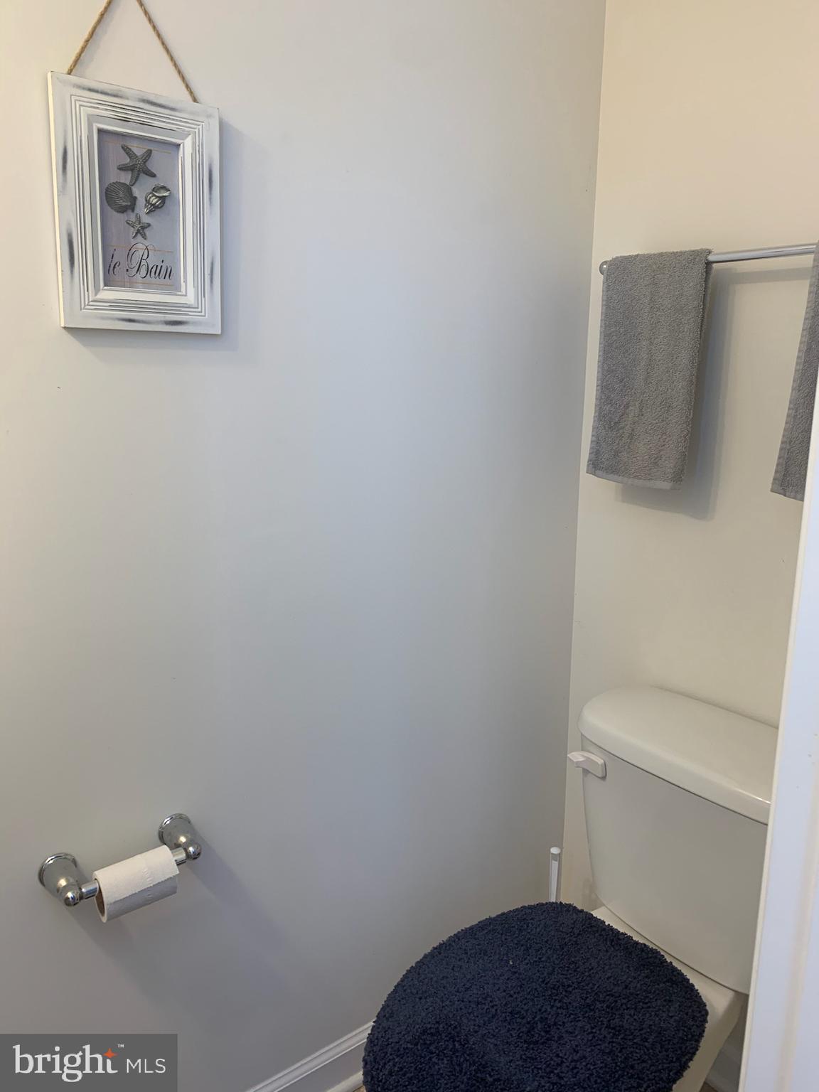 103 Alba Road, Unit 101 Fredericksburg, VA 22405 - Photo 20 of 22 Powder Room on Basement Level 2