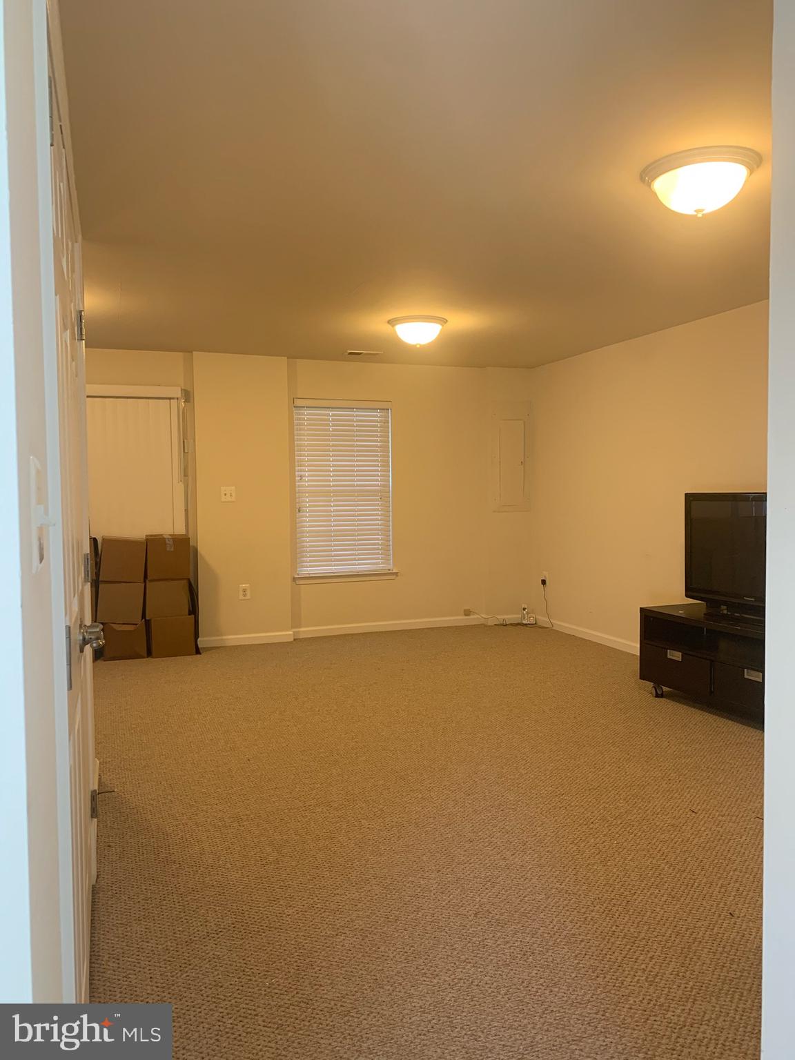 103 Alba Road, Unit 101 Fredericksburg, VA 22405 - Photo 5 of 22 Room in the Basement