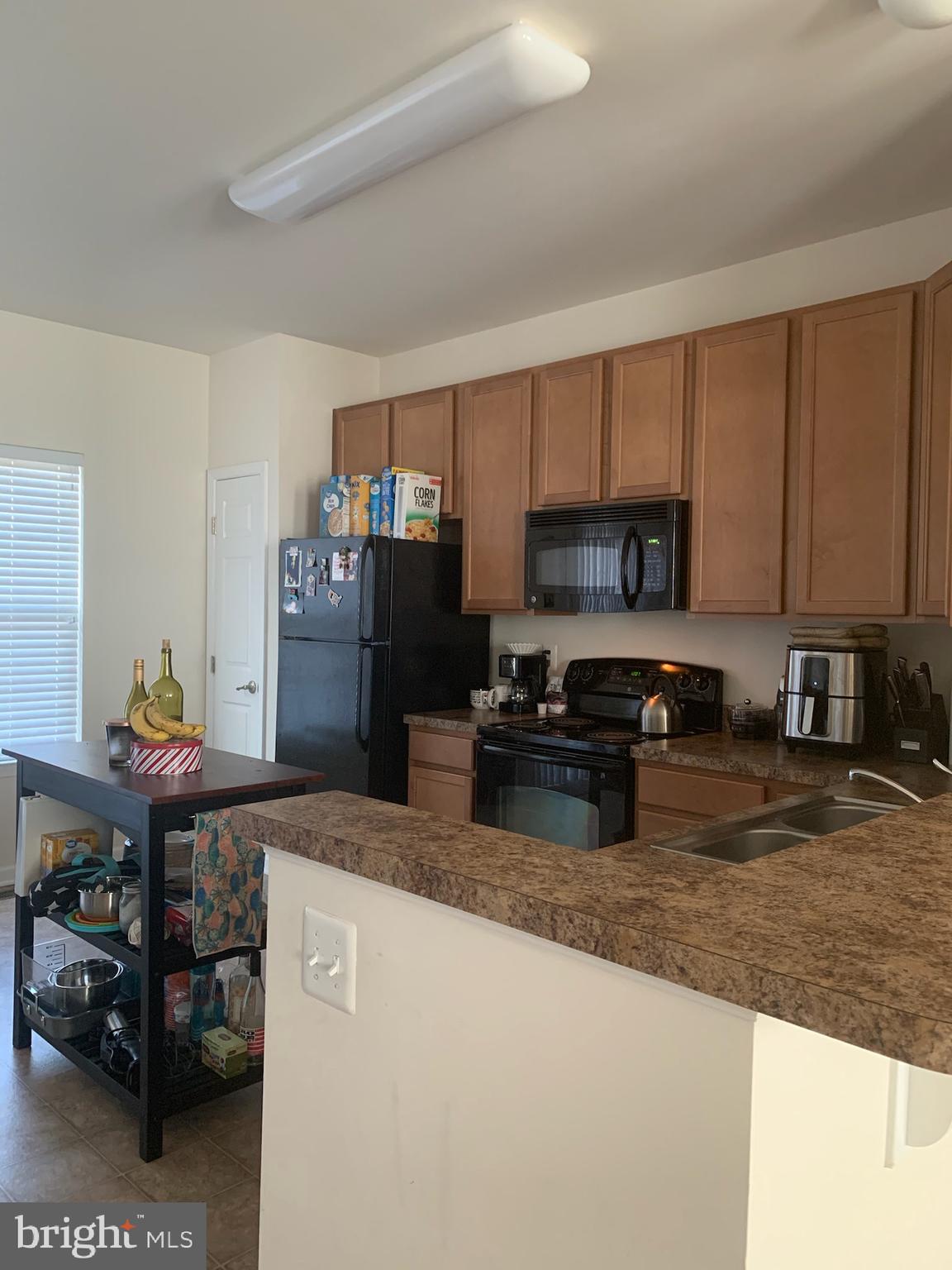 103 Alba Road, Unit 101 Fredericksburg, VA 22405 - Photo 10 of 22 Kitchen 2