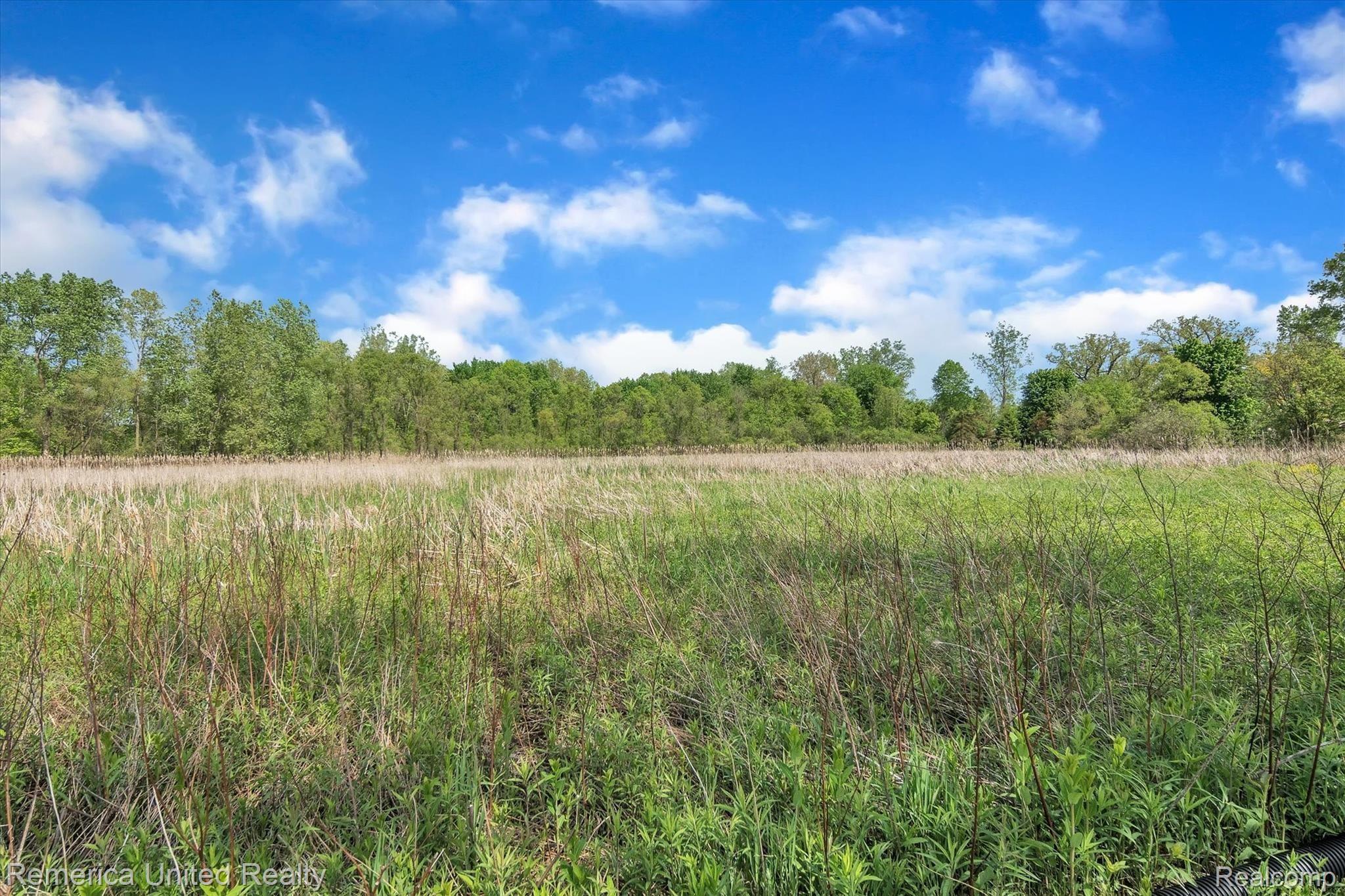 3158 West Marr Road Howell, MI 48855 - Photo 53 of 74 61-3158-W-Marr-Rd-WindowStill-Real-Estate-Photography-61.jpg