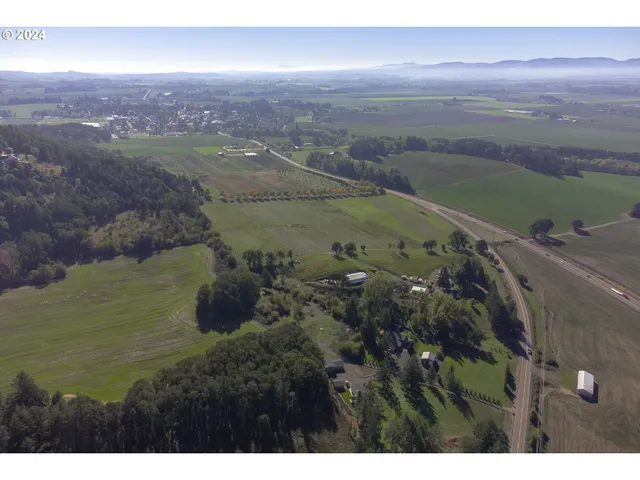 a view of a yard with a tree