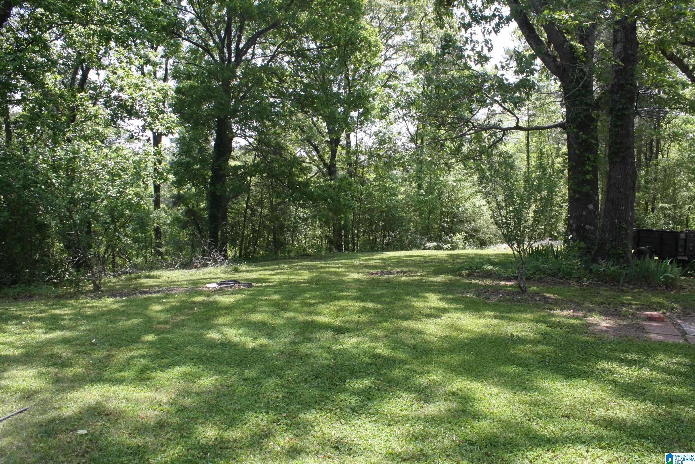 6083 Tommy Town Road Mount Olive, AL 35117 - Photo 14 of 45