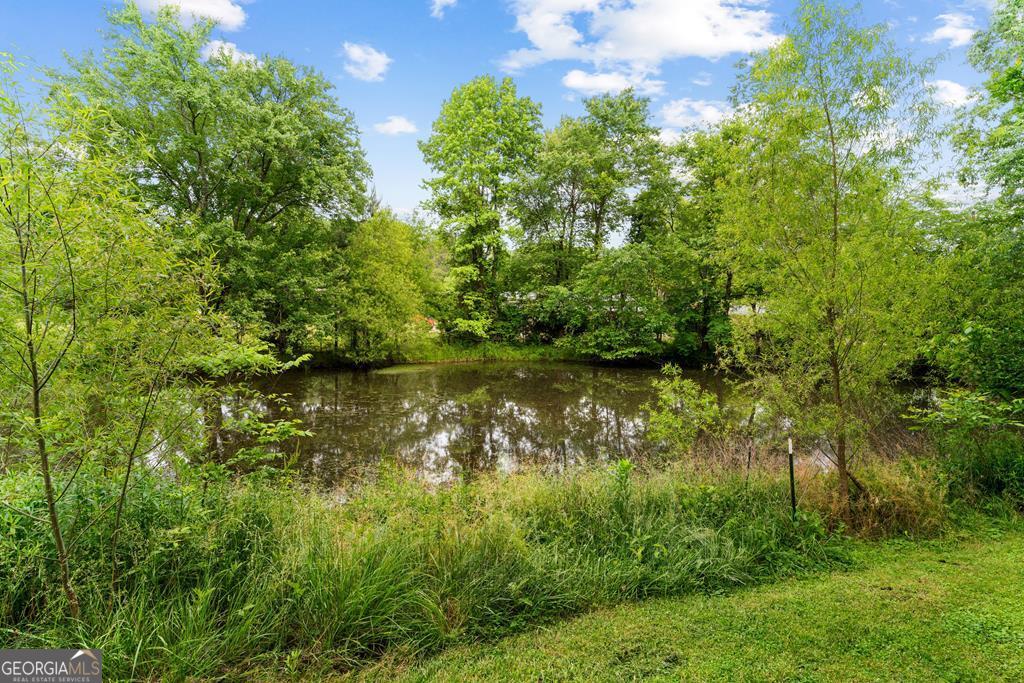 552 Dantzler Circle Dalton, GA 30721 - Photo 20 of 20 a view of lake with green space