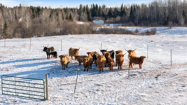 $399,999 | 13601 East County Road 578, Goodland, MN 55742