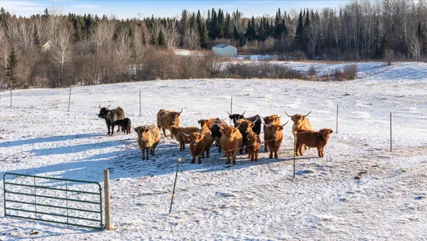 $399,999 | 13601 East County Road 578, Goodland, MN 55742