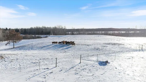 $399,999 | 13601 East County Road 578, Goodland, MN 55742