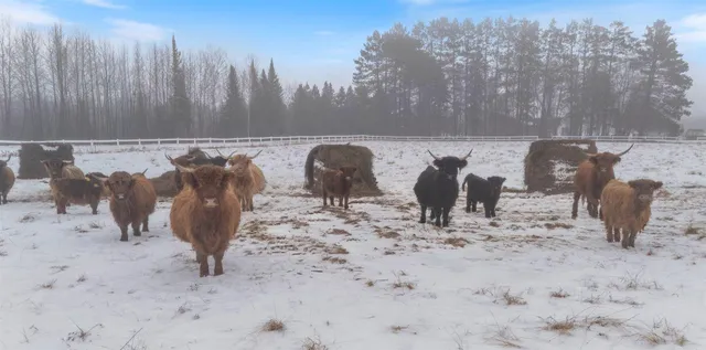 $399,999 | 13601 East County Road 578, Goodland, MN 55742