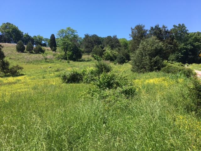 Harrison Road Madisonville, TN 37354 - Photo 2 of 5 IMG_2064