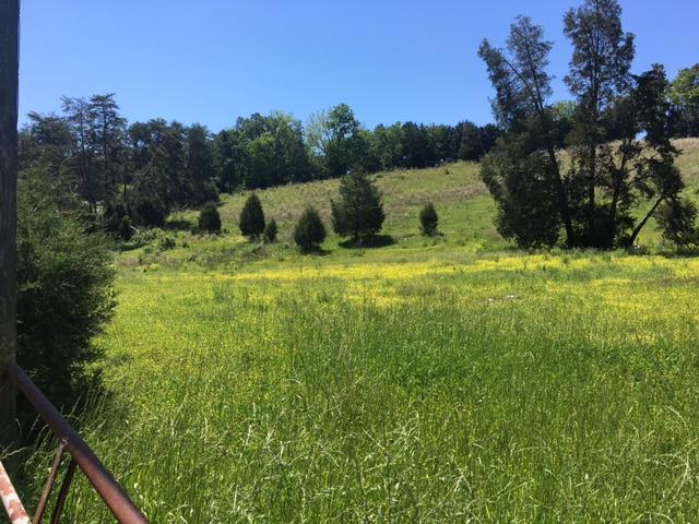 Harrison Road Madisonville, TN 37354 - Photo 3 of 5 IMG_2065