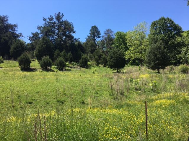 Harrison Road Madisonville, TN 37354 - Photo 5 of 5 IMG_2067