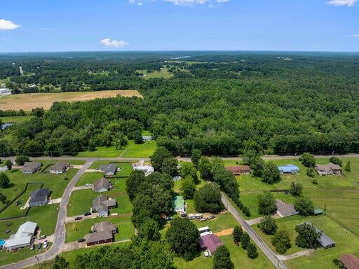 52 Drummond Cut-Off Road Jasper, AL 35504 - Photo 34 of 39 DJI_20250626112431_0545_D-26