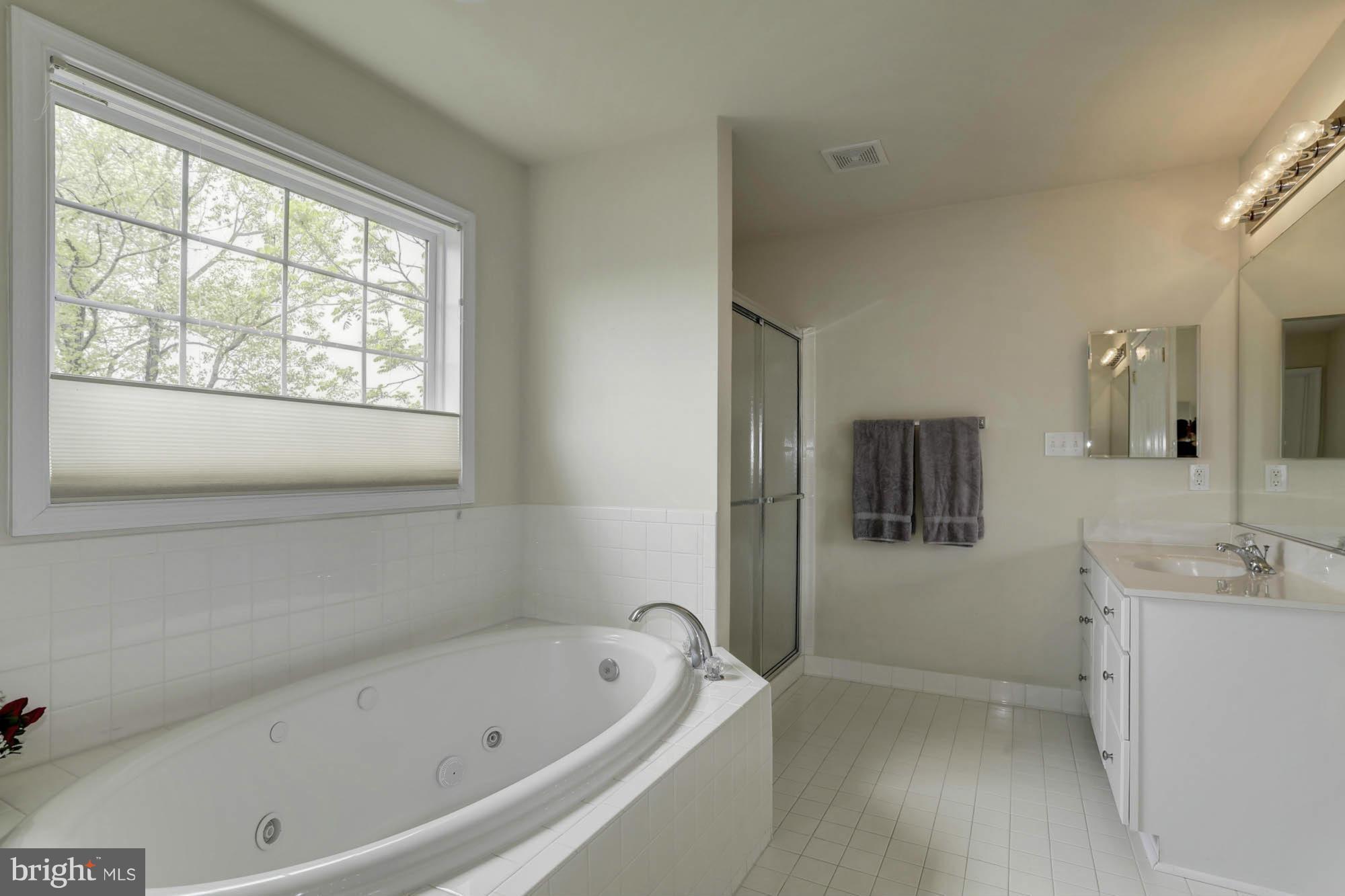 2721 Briggs Chaney Road Silver Spring, MD 20905 - Photo 16 of 30 Bath (Master)