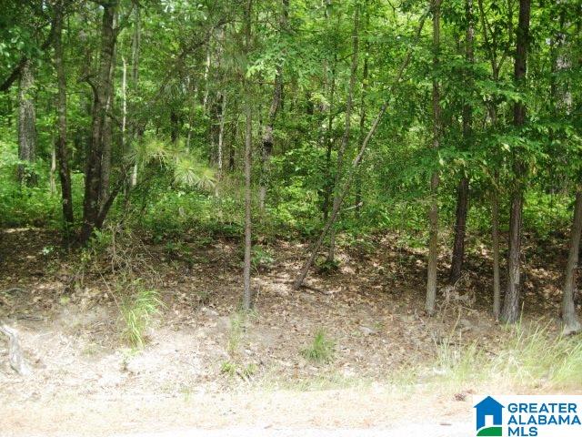 0 Sulphur Springs Road, Unit 10 ACRES Lincoln, AL 35096 - Photo 12 of 32