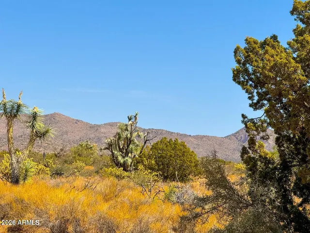 a view of a large body of water with a mountain in the background