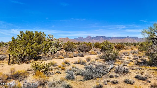 $30,000 | 38.82 South Acres Yucca Az 86438, Yucca, AZ 86438