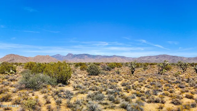 $30,000 | 38.82 South Acres Yucca Az 86438, Yucca, AZ 86438